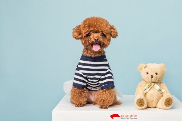 疫情期間香港商品如何轉(zhuǎn)運(yùn)到湖北隨州呢？